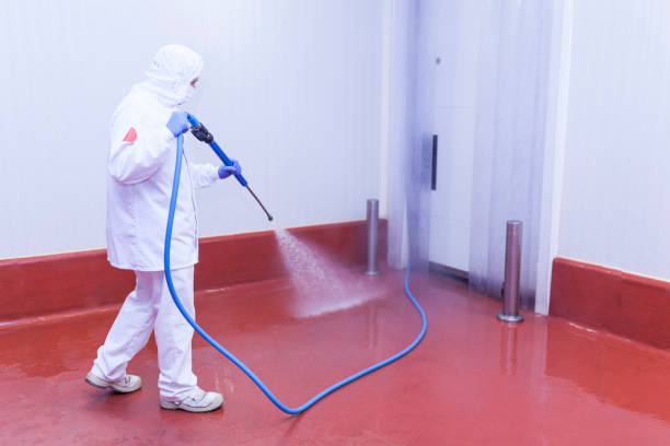 Best Dumpster Area Cleaning  in Virginia Gardens, FL
