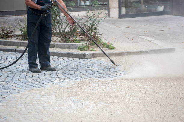Best Sidewalk and Walkway Cleaning  in Virginia Gardens, FL