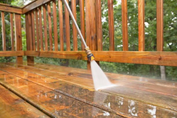 Best Animal Enclosure Cleaning  in Virginia Gardens, FL